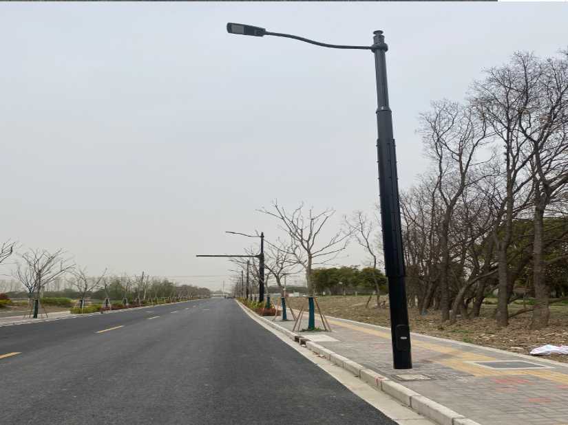 泰和县上海综合杆 太阳能路灯工程